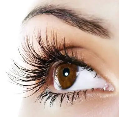 pestanas-cejas