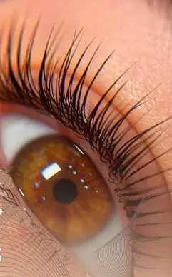Técnico en Diseño de Cejas y Pestañas